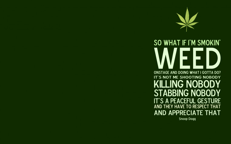 Cool Weed Widescreen HD Wallpaper 1920x1200px