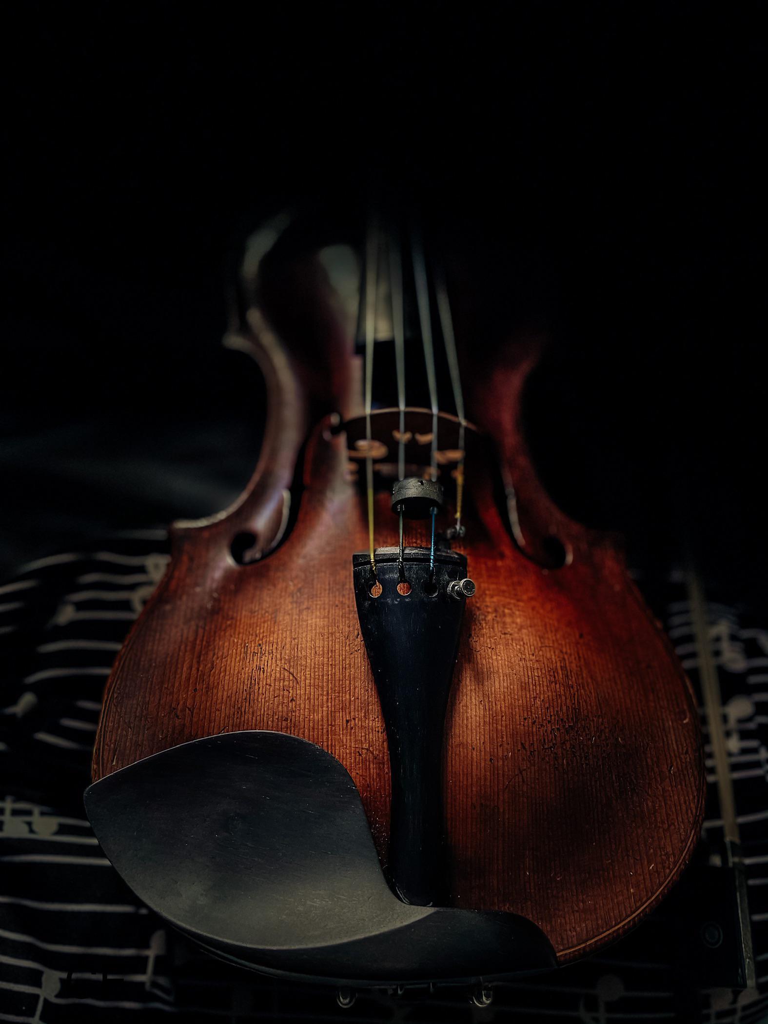 Violin iPhone Wallpaper Image 1575x2100
