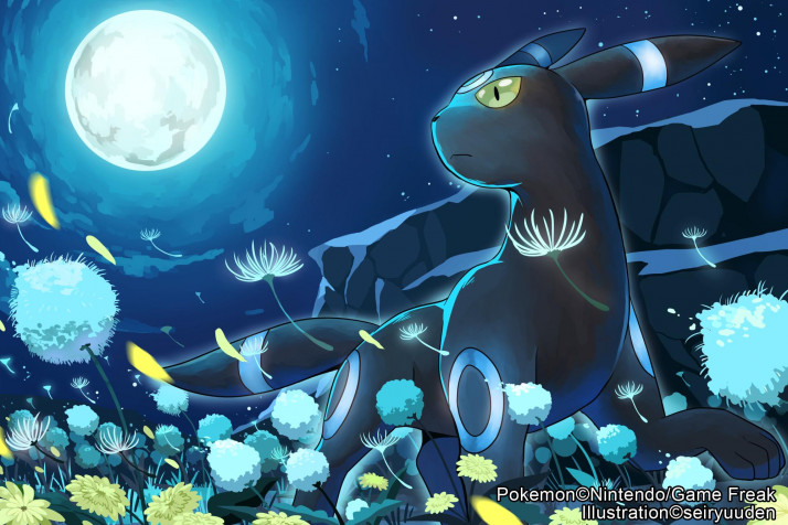 Umbreon Desktop HD Wallpaper 2000x1333px