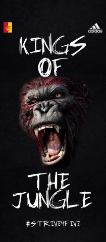 Gorilla Phone Background Image 750x1700px