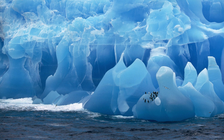 Antarctica Wallpaper Image 2560x1600px