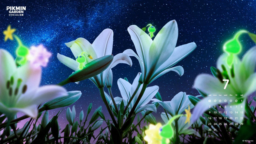 Pikmin Full HD 1080p Wallpaper 1920x1080px