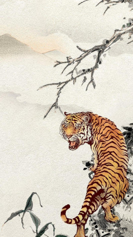 Tiger Phone Background Image 800x1422px