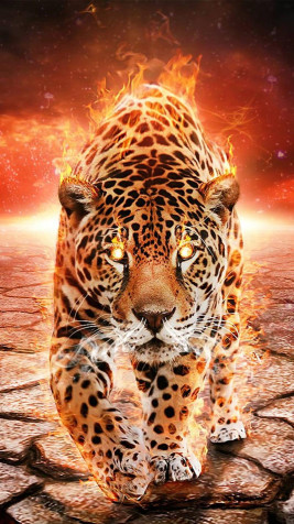 Jaguar Mobile Wallpaper 800x1422px