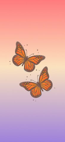 Butterfly iPhone Background 1205x2609px