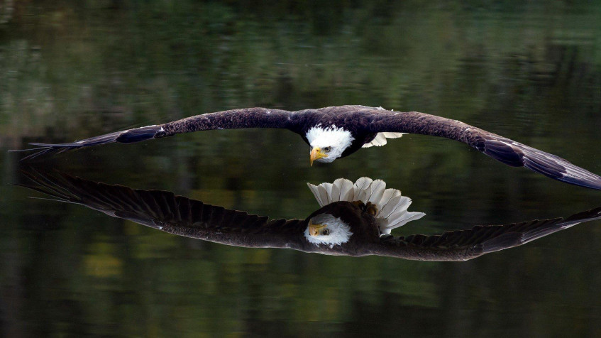  Full HD 1080p Wallpaper 1920x1080px