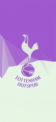 Tottenham Hotspur Fc Phone Background 1440x3120px