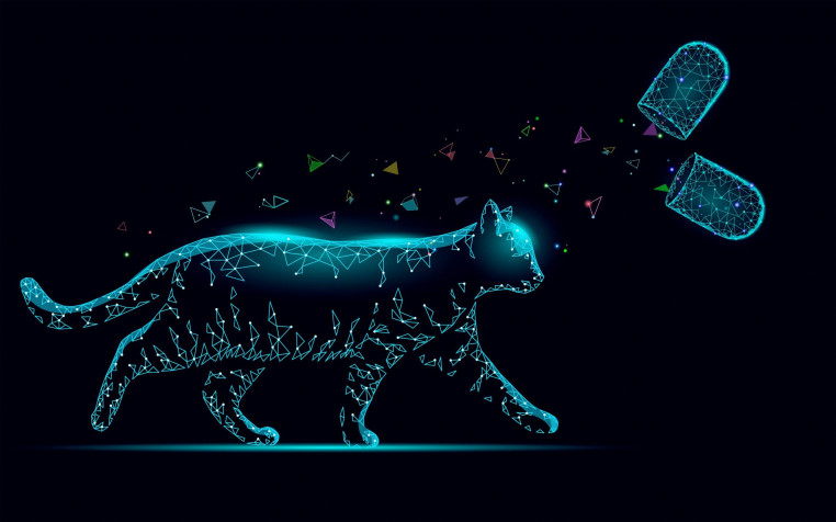 Neon Cat Desktop Wallpaper 2560x1600px