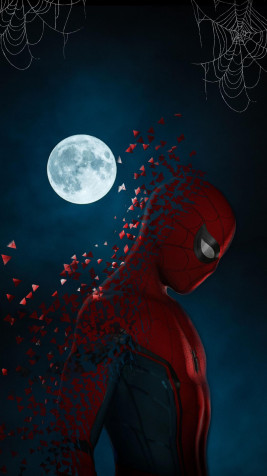 Aesthetic Spider Man Android Wallpaper Image 1729x3072px