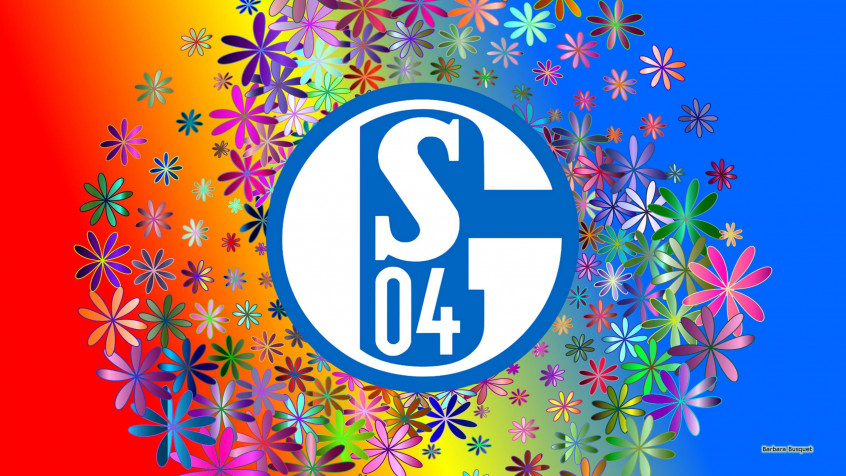 Fc Schalke 2k QHD Wallpaper 2560x1440px