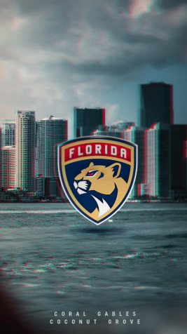 Florida Panthers Phone Background 1080x1920px