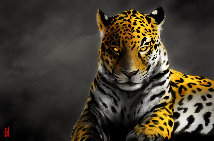 Jaguar Desktop Wallpaper 2239x1476px