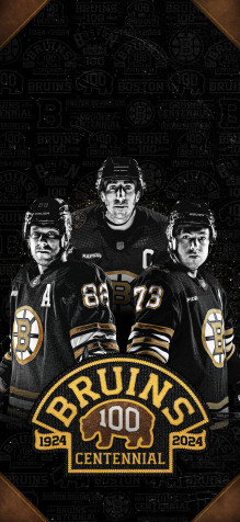 Boston Bruins Phone Background 1891x4096px