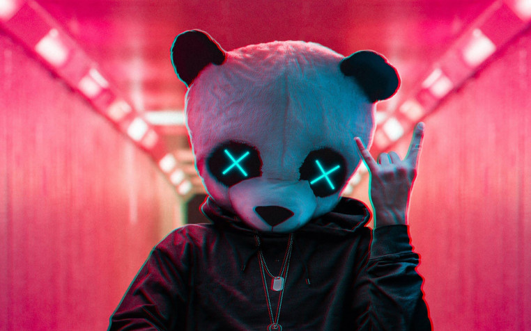 Panda Mask HD Wallpaper 2048x1280px