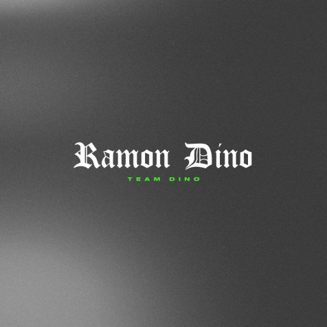 Ramon Dino Phone Wallpaper 1080x1080px