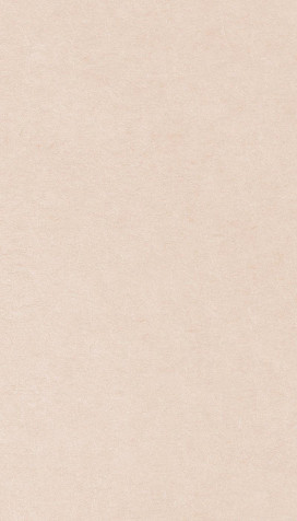 Beige Color iPhone Background 800x1400px