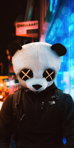 Panda Mask Phone Background 1080x2160px