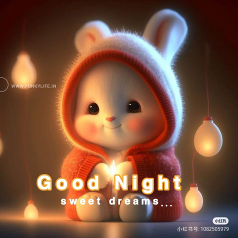 Good Night Images Mobile Wallpaper 1920x1920px