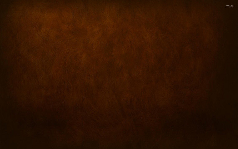 Brown Widescreen HD Wallpaper 1920x1200px