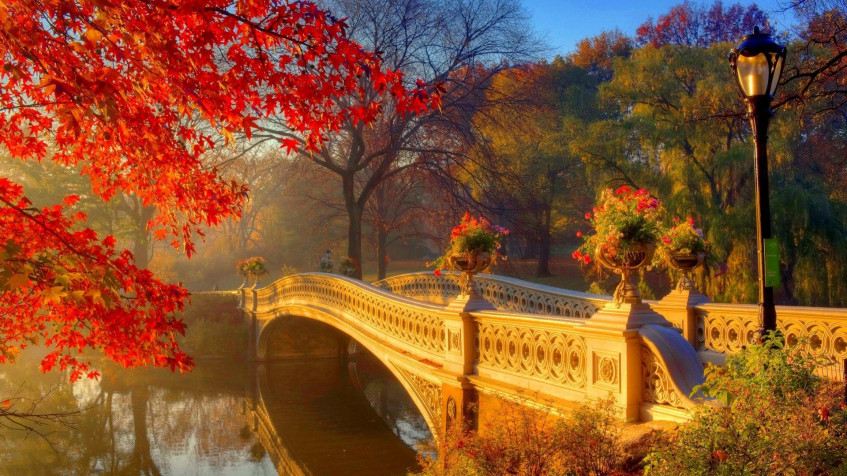 Cute Fall Full HD 1080p Wallpaper 1920x1080px