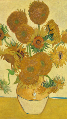 Van Gogh Mobile Background 800x1422px