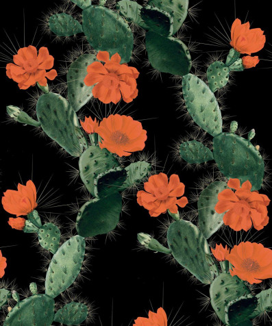 Cactus iPhone Background Image 1100x1318px