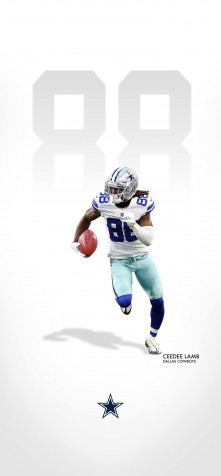 Dallas Cowboys Phone Background Image 1396x3004px