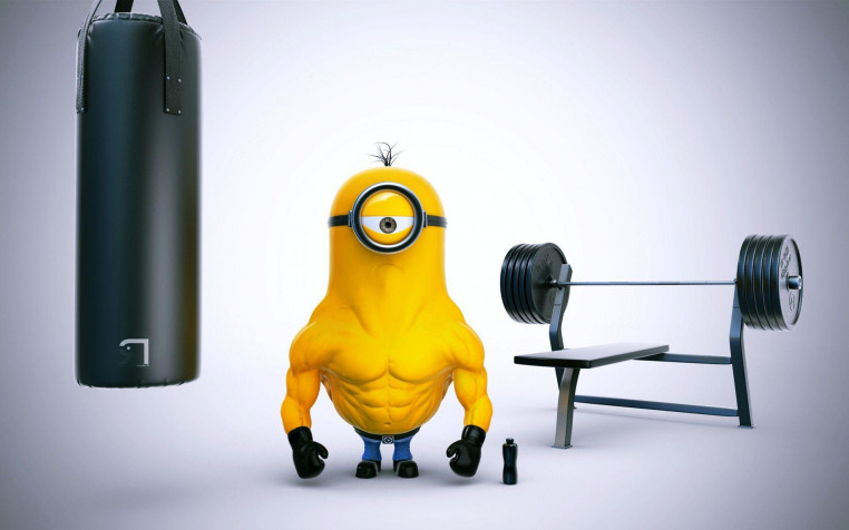 Minions Pc Widescreen HD Wallpaper 1920x1200px