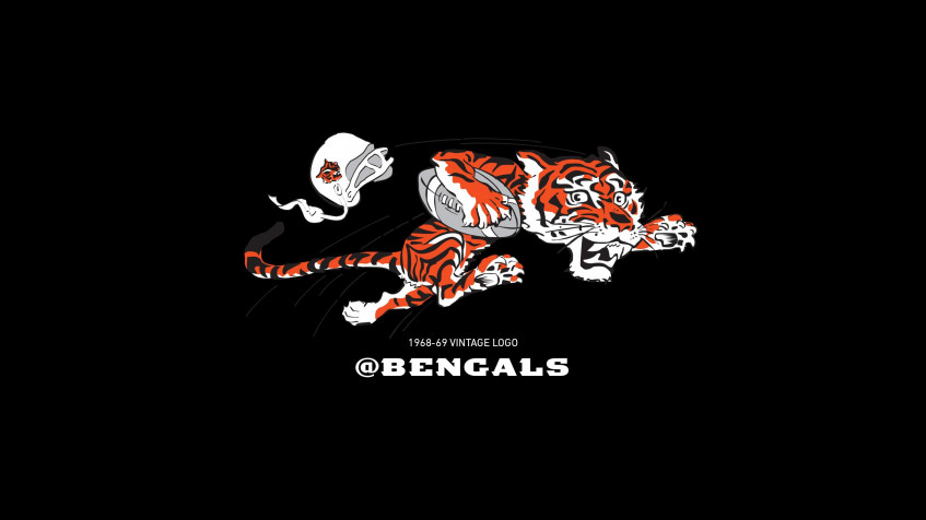 Cincinnati Bengals Logo Desktop HD Background 2568x1444px