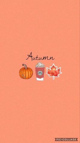 Cute Fall Android Wallpaper 1080x1920px