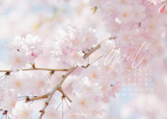 Spring Pc MacBook Background 1440x1024px