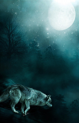 Wolf Phone Background 1611x2500px