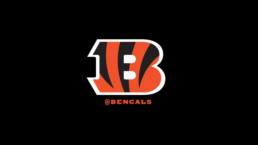 Cincinnati Bengals Logo Desktop HD Wallpaper 2568x1444px