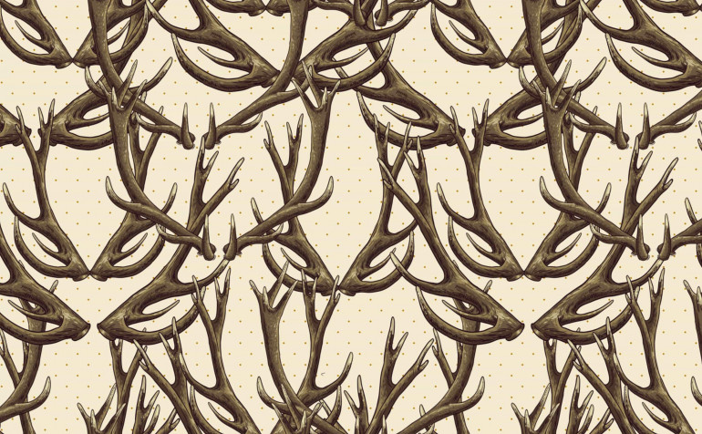 Deer Desktop HD Background 3028x1872px