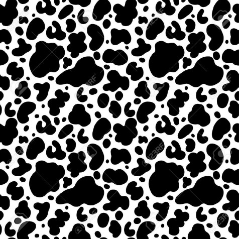 Cow Print Wallpaper for Mobile 1300x1300px