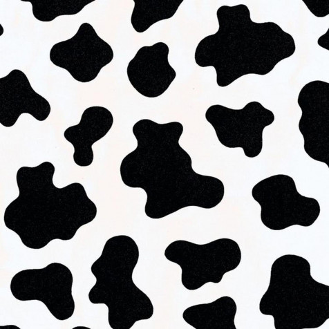 Cow Print Phone Background Image 1588x1588px