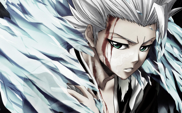 Toshiro Hitsugaya Widescreen HD Wallpaper 1920x1200px