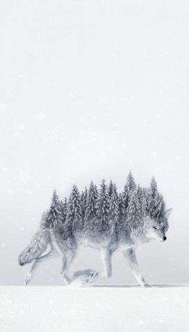 Wolf Phone Background 800x1400px