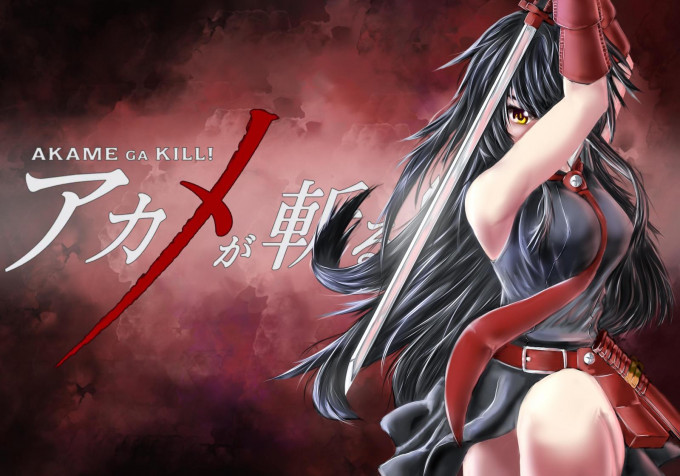 Akame Ga Kill Desktop HD Wallpaper 1600x1120px