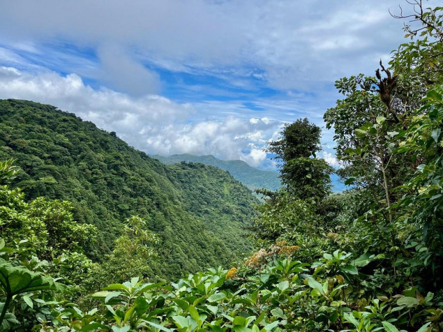 Monteverde Cloud Forest Wallpaper Image 1024x768px