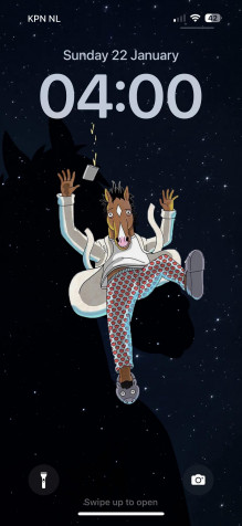 Bojack Horseman iPhone 15 Pro Wallpaper 1179x2556px