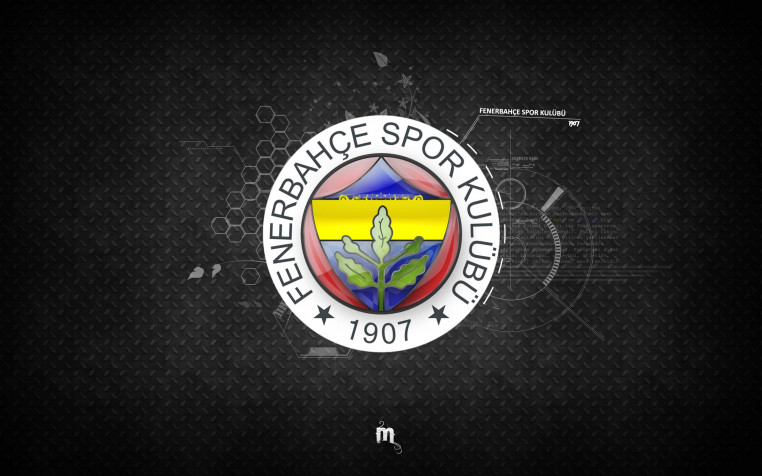 Fenerbahce S K Desktop Background 2560x1600px