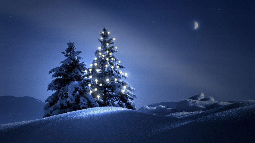 Christmas Tree Full HD 1080p Wallpaper 1920x1080px