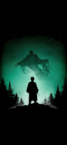 Harry Potter iPhone 11 Pro Max Wallpaper 1242x2688px