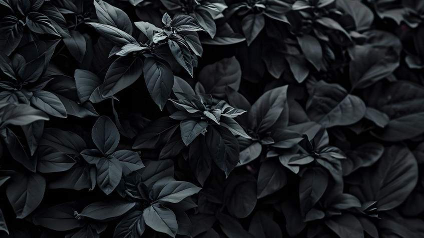 Grey Desktop Wallpaper 1536x864px