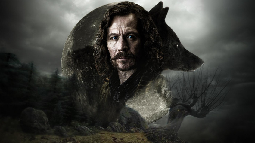 Sirius Black Full HD 1080p Wallpaper 1920x1080px