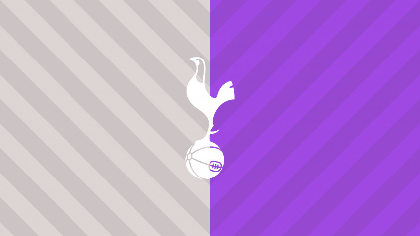 Tottenham Hotspur Fc 2k QHD Wallpaper 2560x1440px