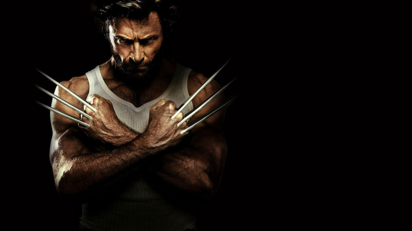 Wolverine Hd Full HD 1080p Wallpaper 1920x1080px