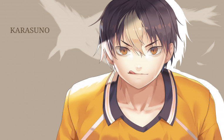 Yu Nishinoya MacBook Wallpaper 2560x1600px