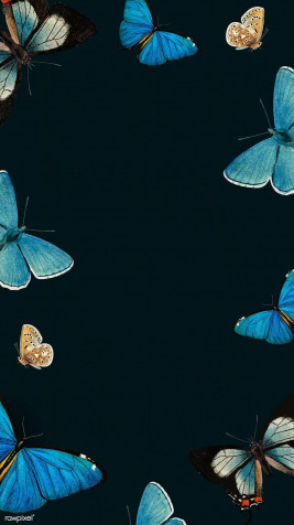 Butterfly Phone Background 1080x1920px